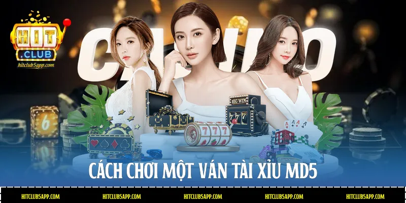 Cách chơi một ván Tài xỉu MD5