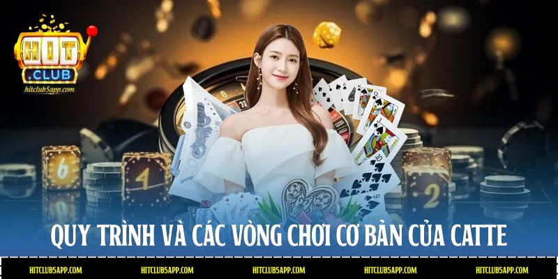 Quy trình và các vòng chơi cơ bản của Catte